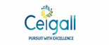 Ceigall India Ltd